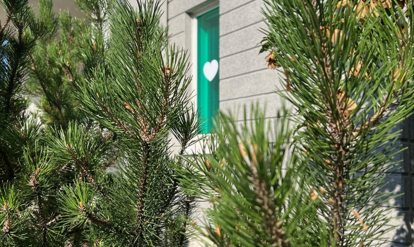 Raision Vuokra-asuntojen ikkunateippaus. Suunnitellut bränditoimisto Hurraa.