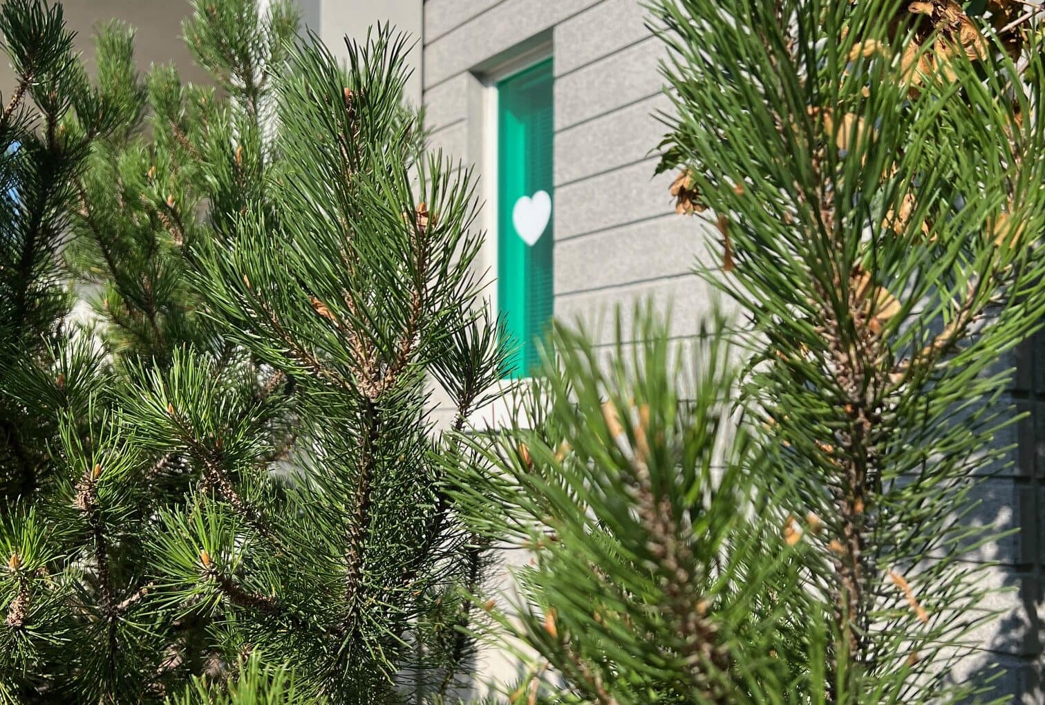 Raision Vuokra-asuntojen ikkunateippaus. Suunnitellut bränditoimisto Hurraa.